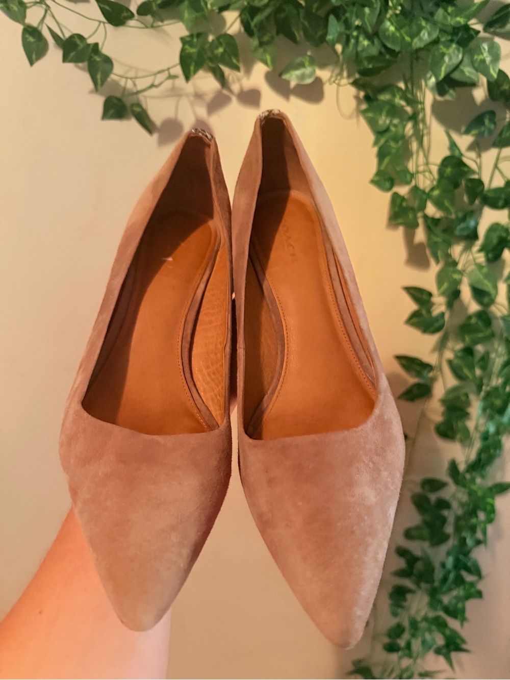 Coach Women’s Pointed-Toe Suede Flats in Taupe